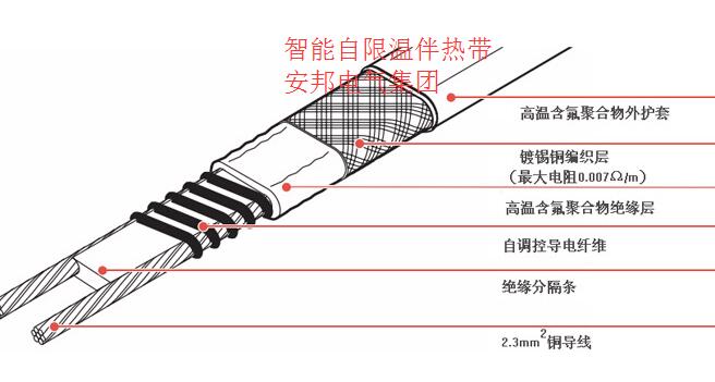 智能自限溫伴熱帶結(jié)構(gòu)示意圖